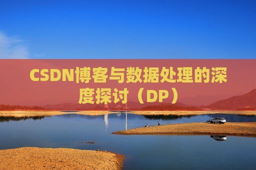 CSDN博客与数据处理的深度探讨（DP）